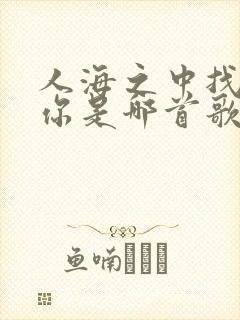 人海之中找到了你是哪首歌的歌词 人海之中找到了你是哪首歌的歌词