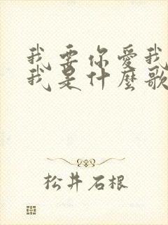 我要你爱我你想我是什么歌 我要你爱我你想我是什么歌