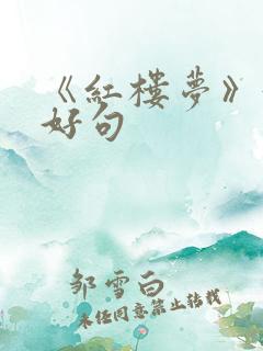 《红楼梦》好词好句