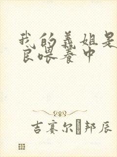 我的义姐是不是良喂养中