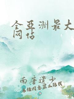 全亚洲最大av网站
