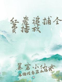 红岩追捕全集免费播放
