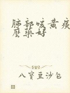 肺部咳黄痰吃什么药好