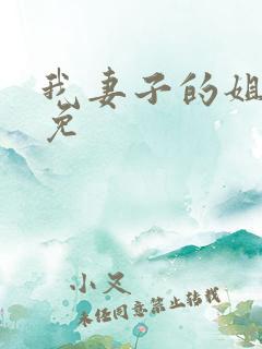 我妻子的姐姐2免
