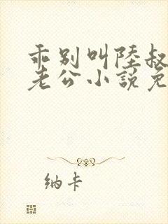 乖别叫陆叔叔叫老公小说免费阅读