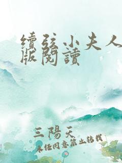 续弦小夫人完整版阅读