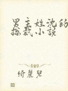 男主姓沈的霸道总裁小说