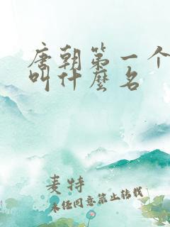 唐朝第一个皇上叫什么名