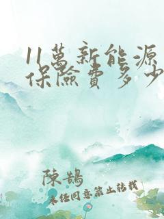 11万新能源车保险费多少钱