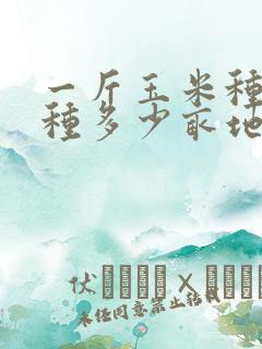 一斤玉米种子能种多少亩地 一斤玉米种子能种多少亩地