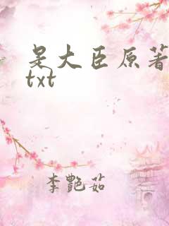 是大臣原著小说txt