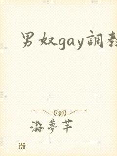 男奴gay调教