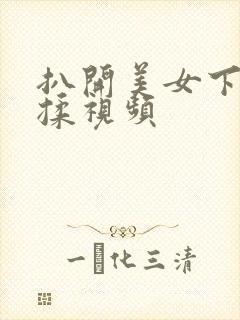 扒开美女下部狂揉视频
