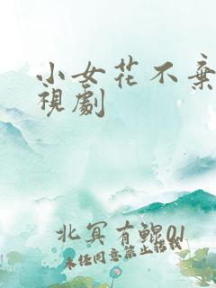 小女花不弃 电视剧 小女花不弃 电视剧