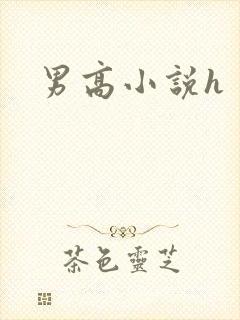 男高小说h