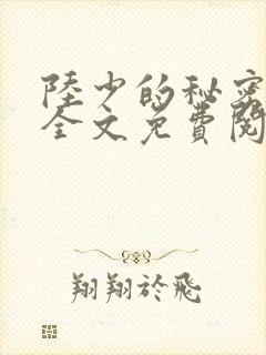 陆少的秘密恋人全文免费阅读 陆少的秘密恋人全文免费阅读