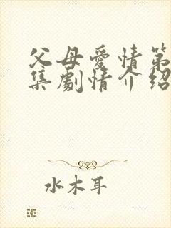 父母爱情第25集剧情介绍