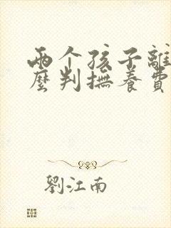 两个孩子离婚怎么判抚养费