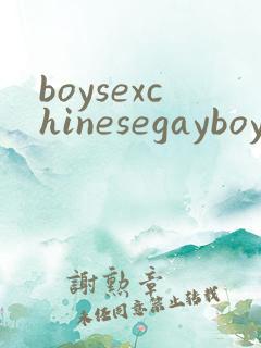 boysexchinesegayboy