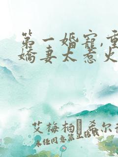第一婚宠,重生娇妻太惹火 第一婚宠,重生娇妻太惹火