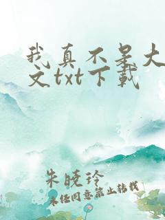 我真不是大佬全文txt下载