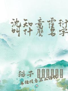 沈知意霍衍小说叫什么名字