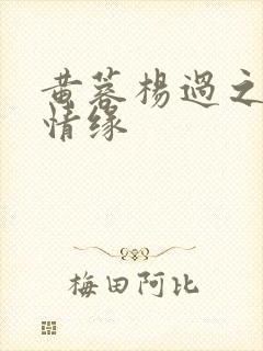 黄蓉杨过之荒岛情缘