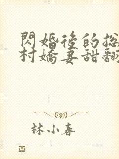 闪婚后的总裁农村娇妻甜翻了全集