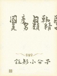 国产 日韩 欧美 另类 精品