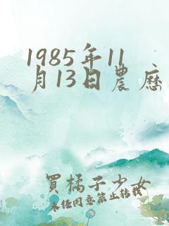 1985年11月13日农历生辰八字