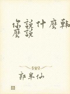你说什么韩语怎么说