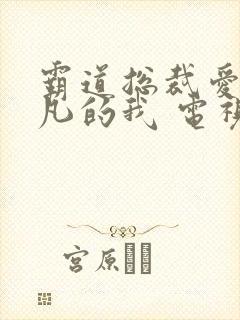 霸道总裁爱上平凡的我 电视剧全集免费观看