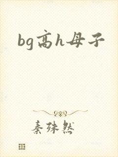 bg高h母子