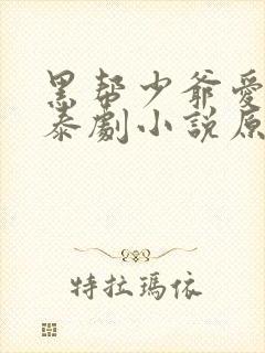 黑帮少爷爱上我泰剧小说原著全文免费阅读 黑帮少爷爱上我泰剧小说原著全文免费阅读