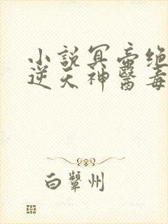 小说冥帝绝宠:逆天神医毒妃