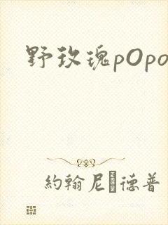 野玫瑰pOpo