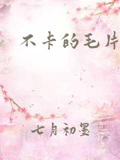 不卡的毛片视频