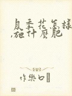月季花怎样施肥,施什么肥
