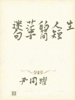 迷茫的人生感悟句子简短