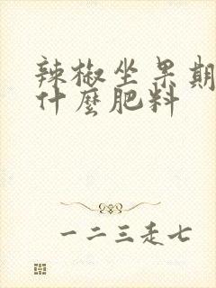 辣椒坐果期要施什么肥料