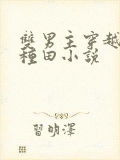 双男主穿越古代种田小说