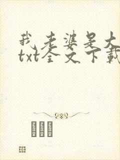 我老婆是大明星txt全文下载