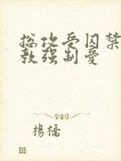 总攻受囚禁攻调教强制爱