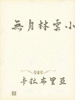 无月林云小说