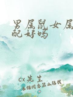 男属鼠女属马婚配好吗