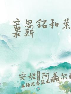 宋思铭和叶如云最新