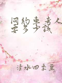 网约车考人证需要多少钱