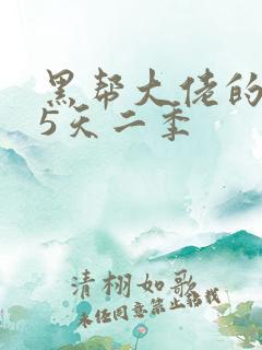 黑帮大佬的365天二季