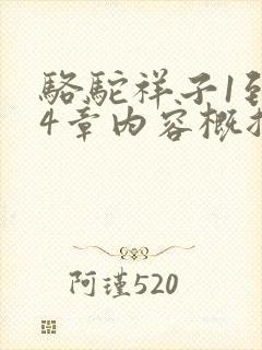 骆驼祥子1到24章内容概括50字