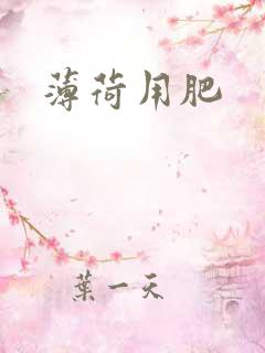 薄荷用肥